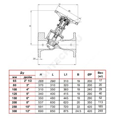 Клапан балансировочный чугун RC 4240 Ду 125 Ру16 фл Tecofi RC4240-0125