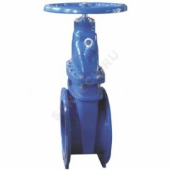 Задвижка чугун R55FLY аналог МЗВГ обрезиненный клин EPDM Ду 250 Ру16 фл Giacomini R55FLY025