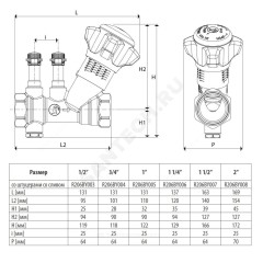 Клапан балансировочный ручной латунь R206B Ду 32 G1 1/4" A Ру25 ВР Kvs=9.5м3/ч с измерительными ниппелями Giacomini R206BY006
