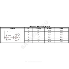 Заглушка чугун Ду 25 (1") НР Fittex PLUS