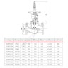 Клапан балансировочный ручной чугун R206BY Ду 200 Ру16 фл Kvs=704м3/ч с измерительными ниппелями Giacomini R206BY220