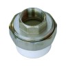 Муфта PP-R комбинированная разъемная белая Дн 63х2" ВР RTP (РосТурПласт) 10625